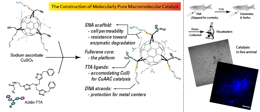 artificial_enzyme01